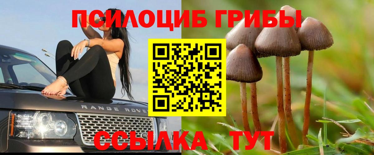 ГАШ  Вход с VPN  Новокуйбышевск  COCAIN  Мефедрон кристаллы  Бошки Шишки 